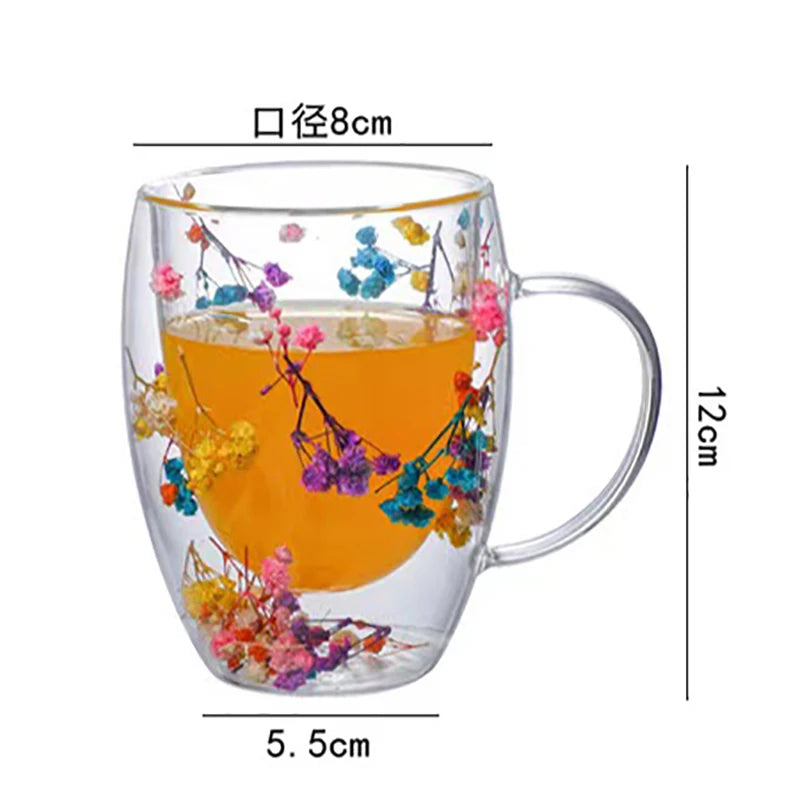 VeraGlass™ Double Wall Glass Dry Flowers Cups